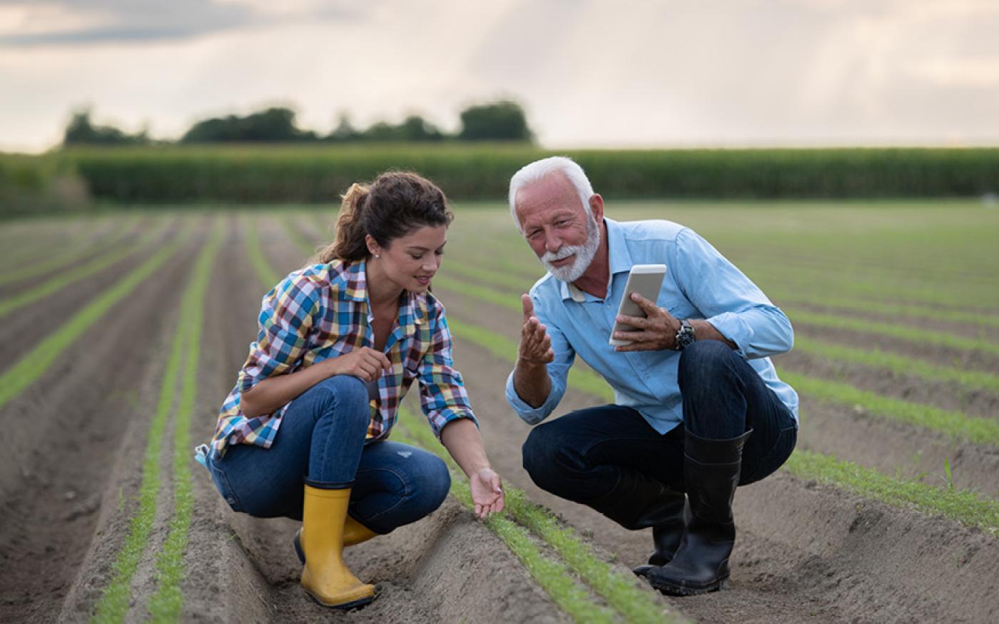 à l’extérieur, agricoles